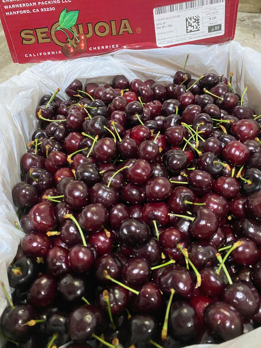 Cherry Mỹ đầu mùa